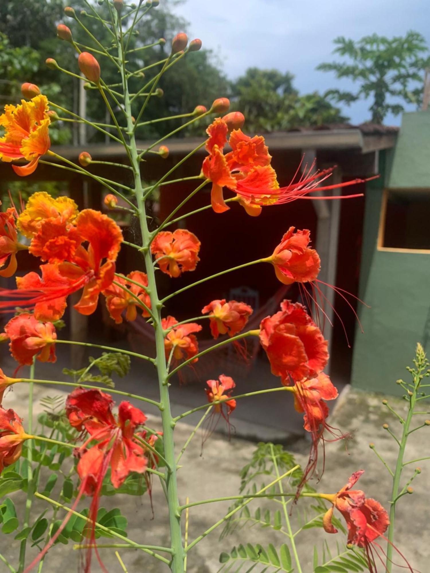 Suites Vila Do Surf , A Original , Desde 2010 Ubatuba Zewnętrze zdjęcie